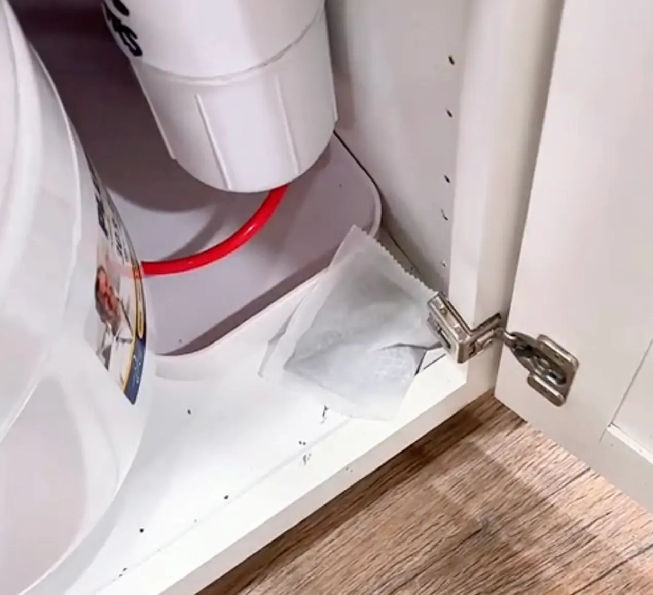 Pest Vault User Jason K. Review